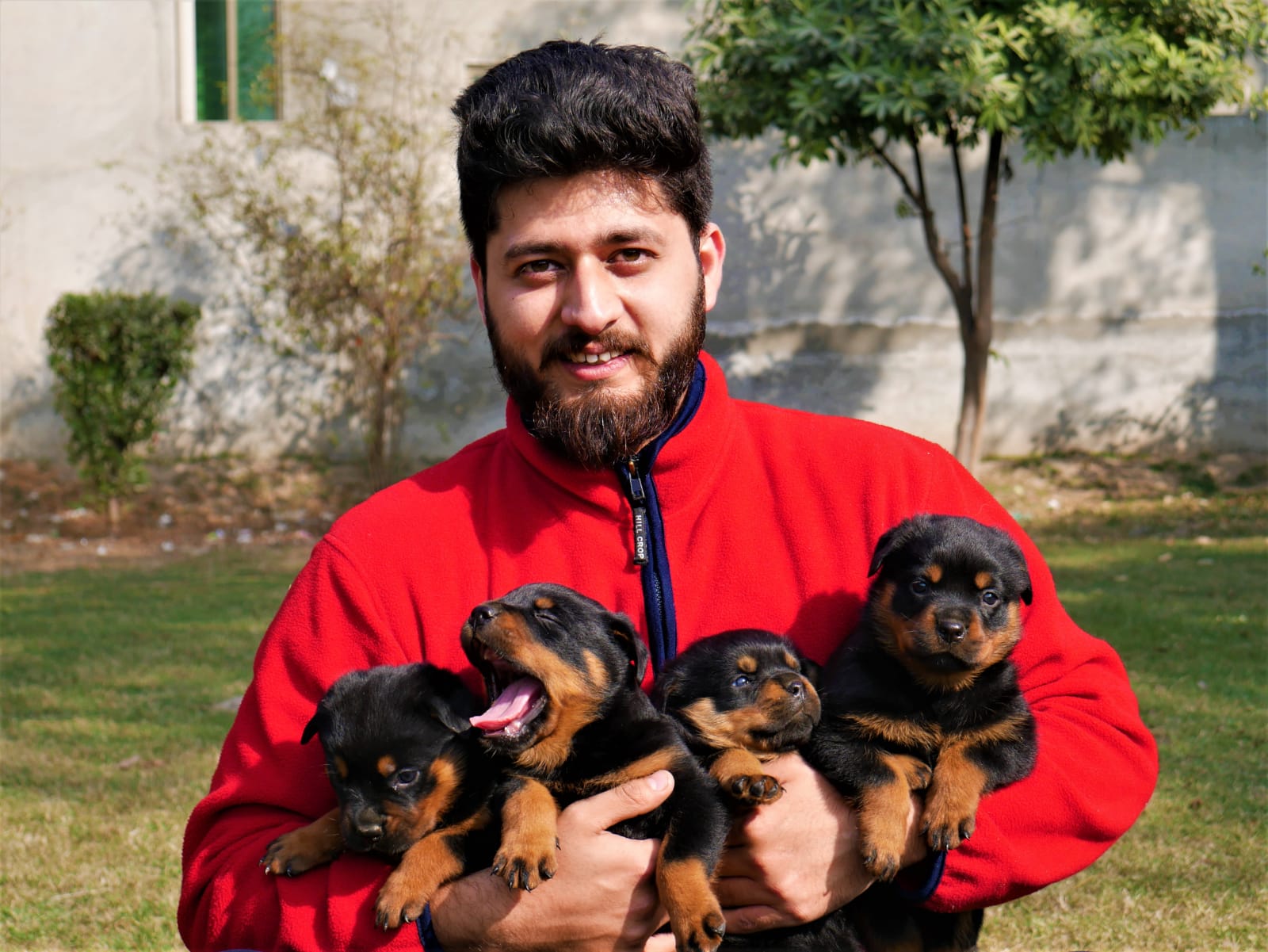 dogimage